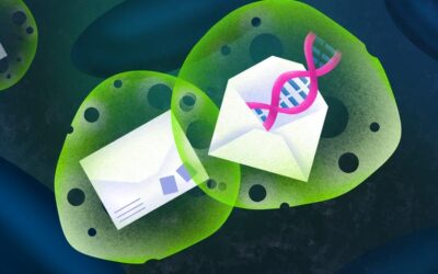 Exogenus Therapeutics featured in Labiotech’s article